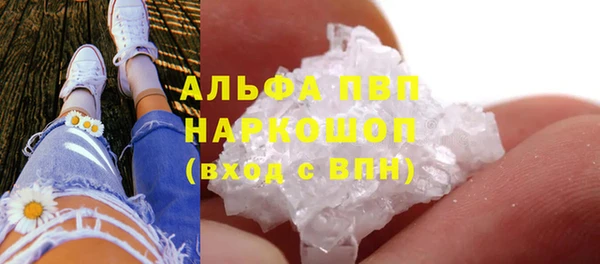 хмурый Лиски