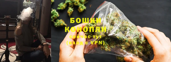 хмурый Лиски