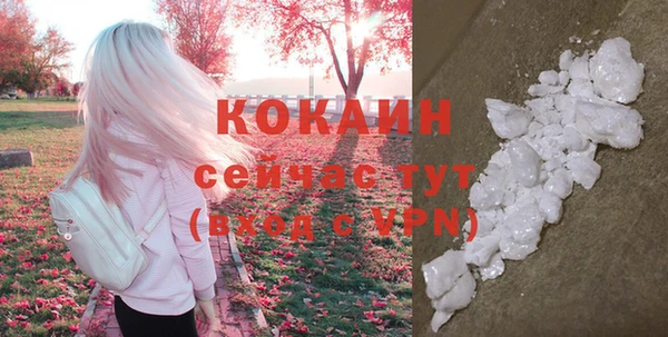 хмурый Лиски