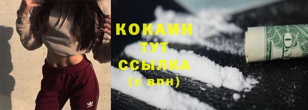 хмурый Лиски