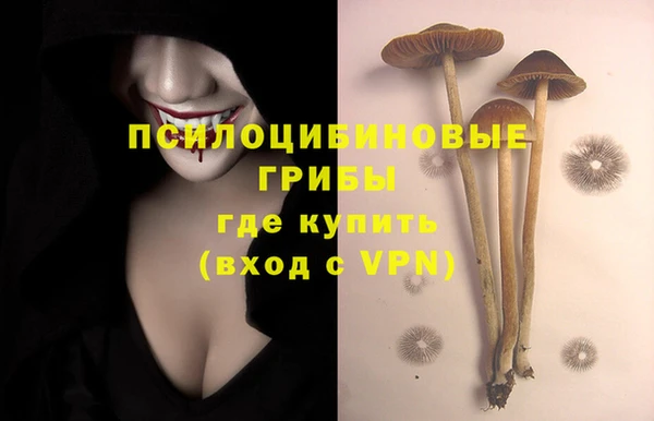 хмурый Лиски