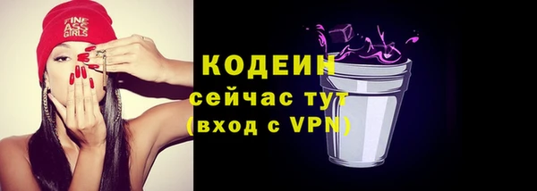 хмурый Лиски