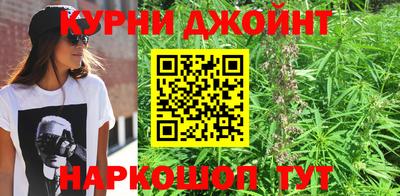 гидра Шелехов