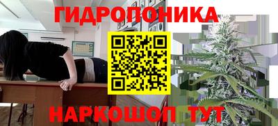 гидра Шелехов