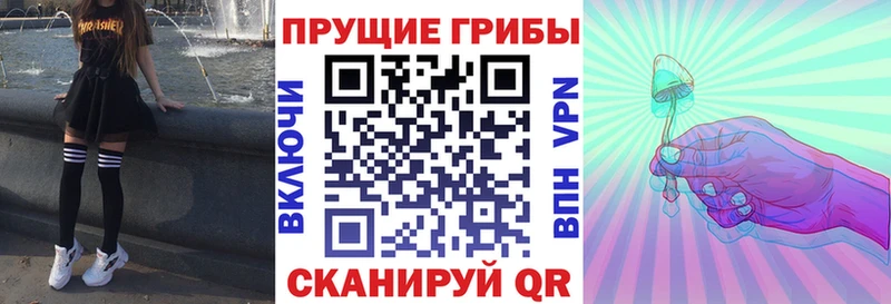 Галлюциногенные грибы GOLDEN TEACHER  продажа наркотиков  Тобольск 