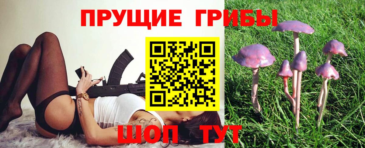 Псилоцибиновые грибы прущие грибы  Вход с VPN  Галлюциногенные грибы Magic Shrooms  Тобольск 