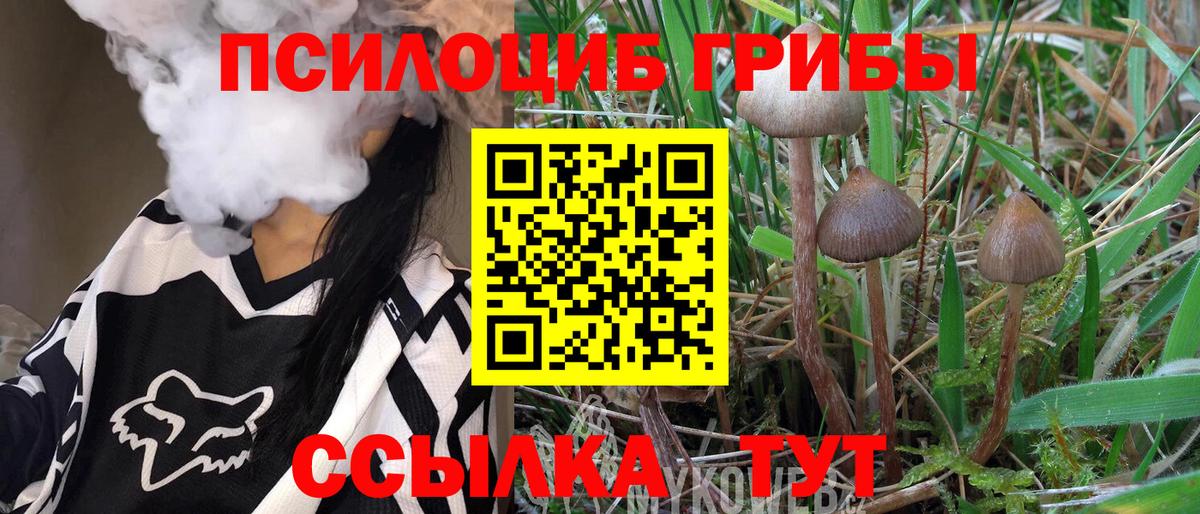 Галлюциногенные грибы прущие грибы Тобольск