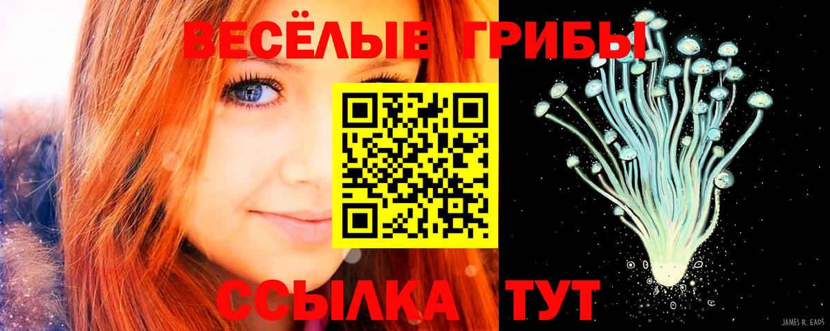 Тобольск  Галлюциногенные грибы Cubensis  Вход с VPN 